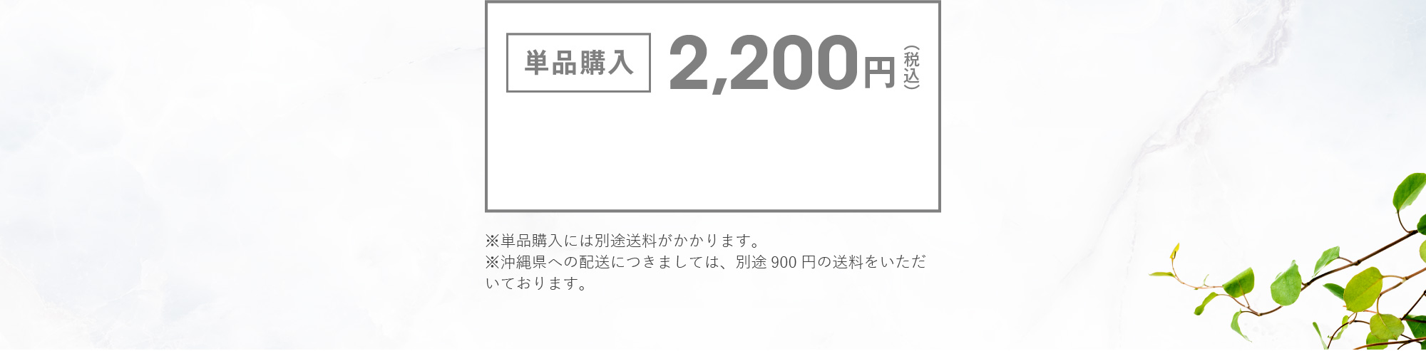 単品購入 2,200円（税込） ※単品購入には別途送料がかかります。※沖縄県への配送につきましては、別途900円の送料をいただいております。