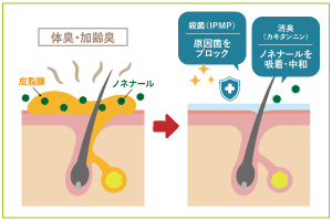 体臭・加齢臭が発生するメカニズム