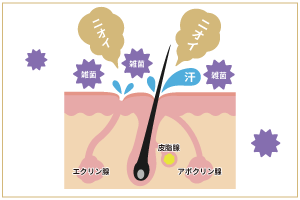 ニオイ発生のメカニズム