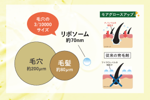 特殊浸透技術リポソーム
