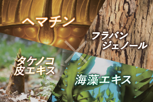日本初の育毛成分処方