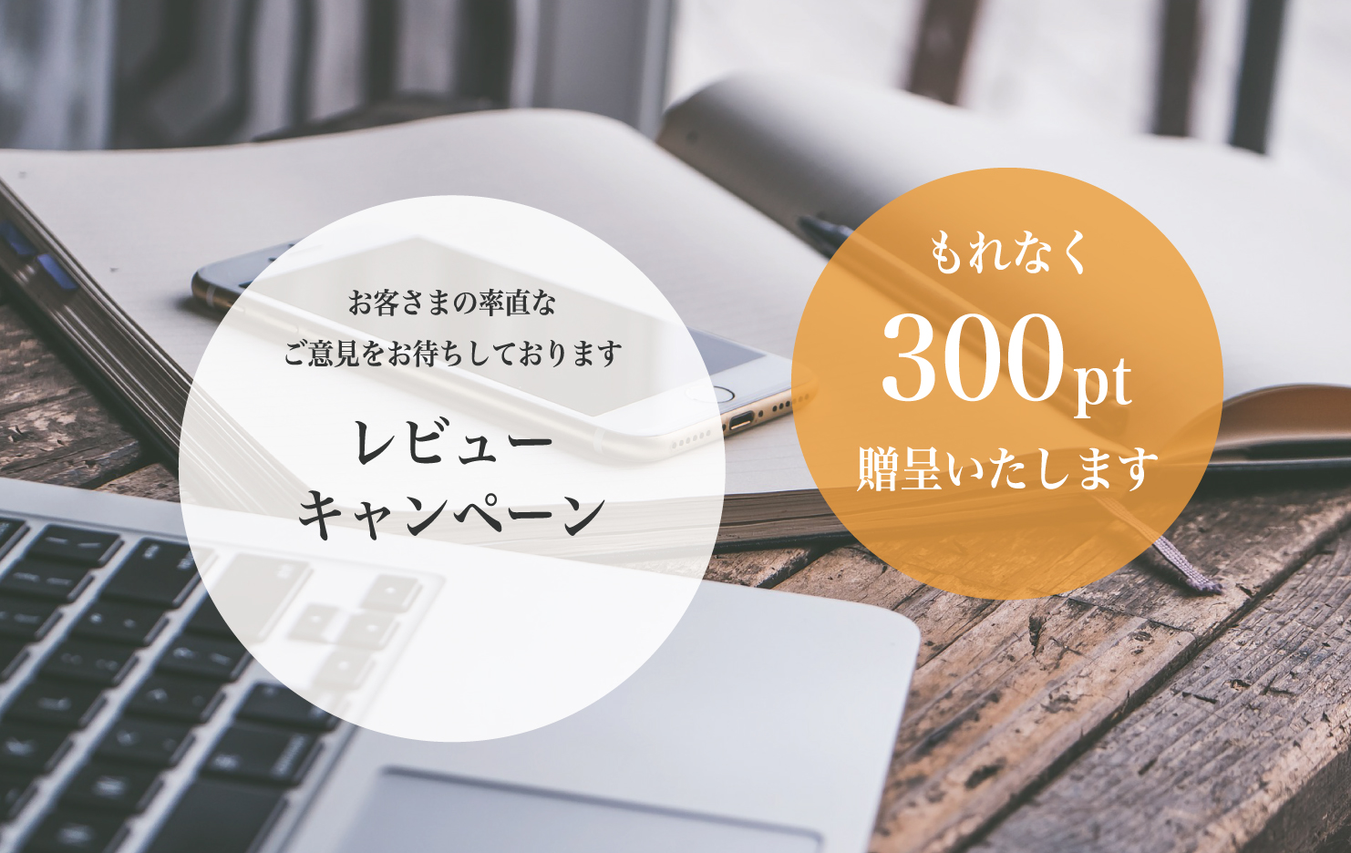 商品レビュー 300ポイント贈呈